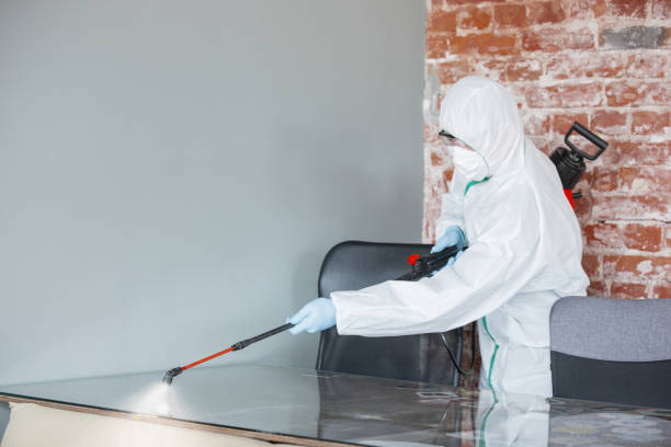 Best Mold Damage Restoration in Fort Payne, AL